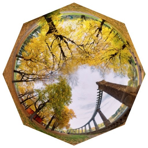 Panorella gallery image