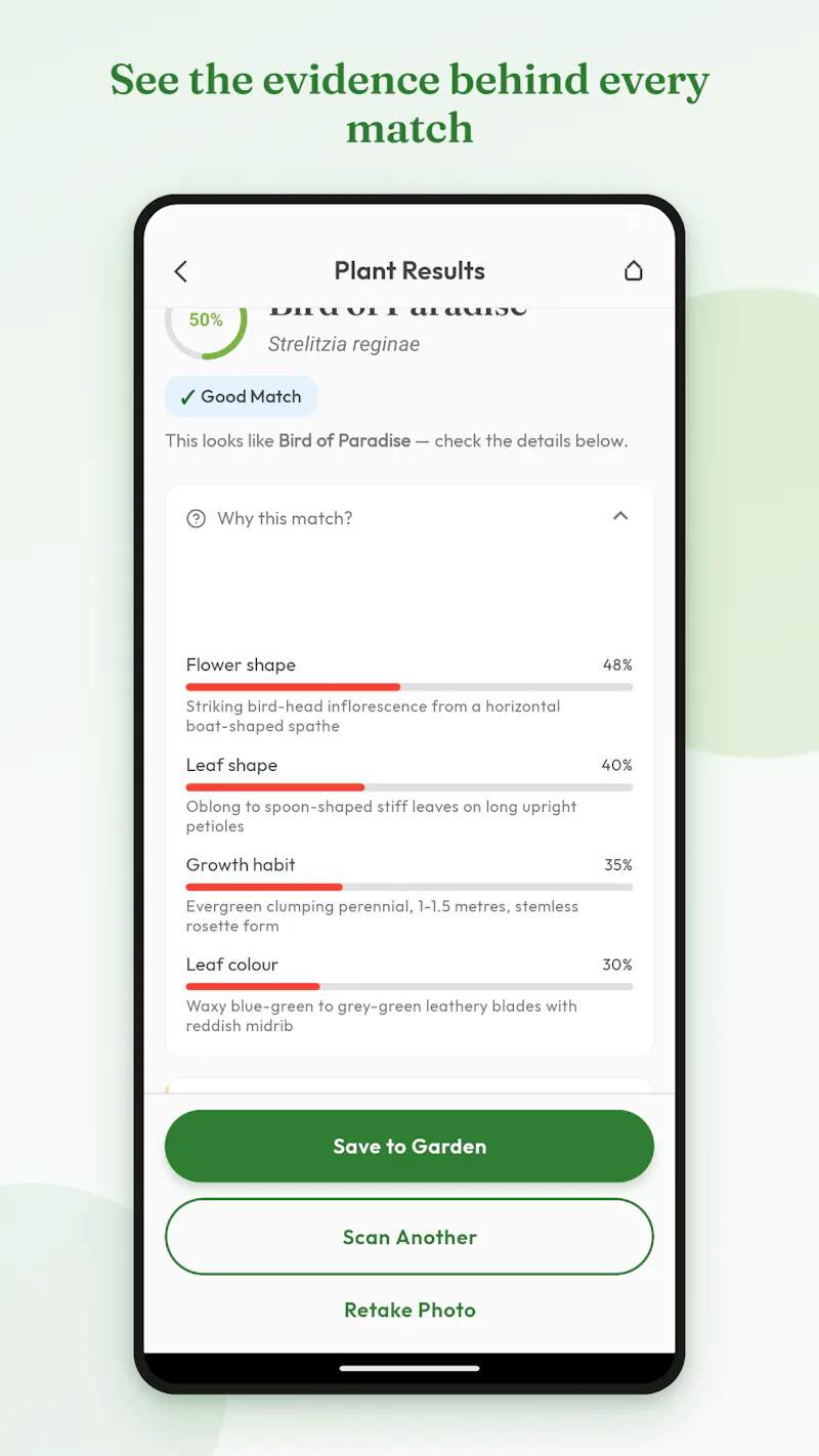 Raychis screenshot 2