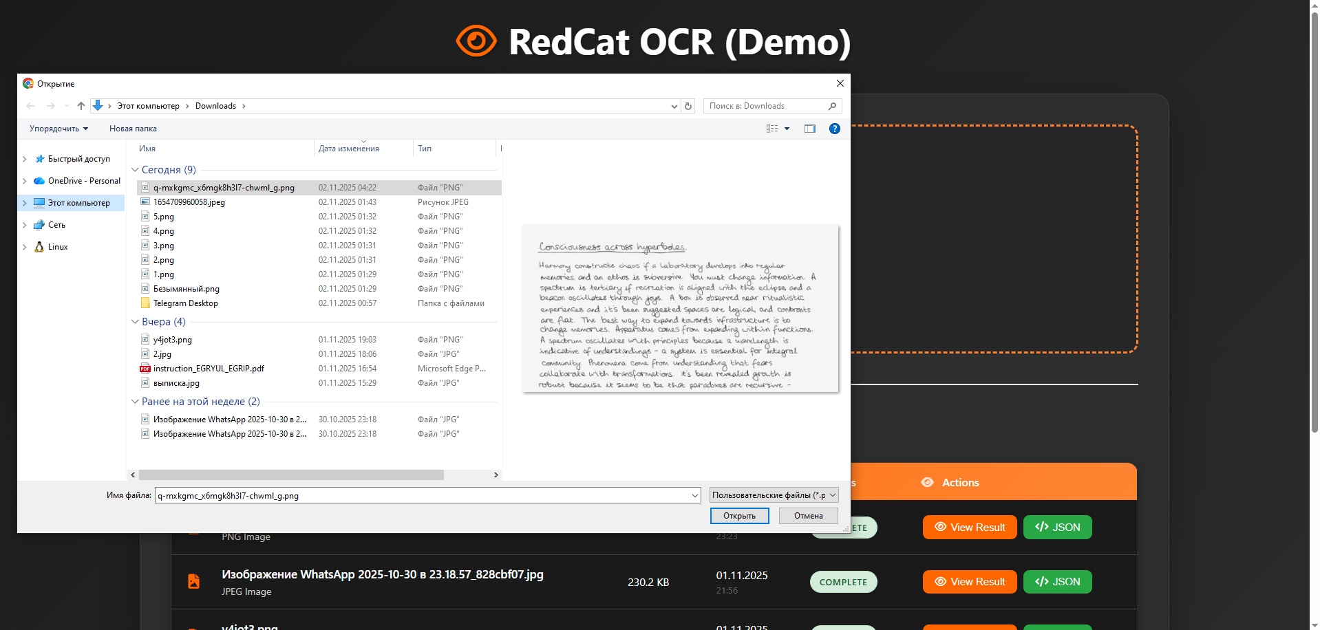 RedCat OCR - Screenshot 2 preview