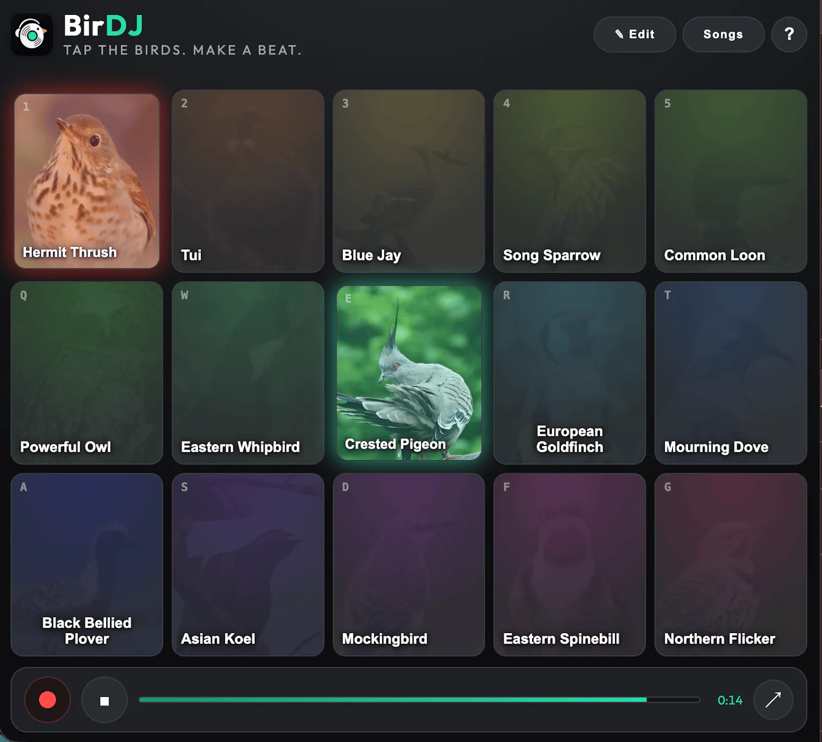 BirDJ screenshot 2