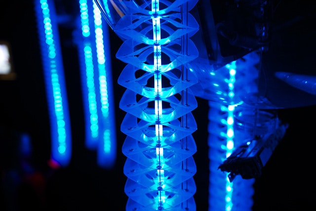 Petting Zoo FRAC Centre gallery image