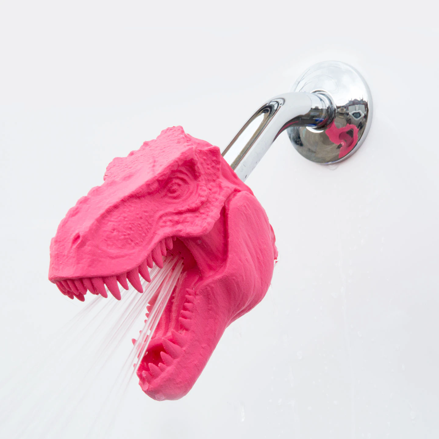Zooheads Image