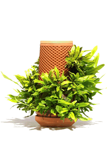 terraplanter
