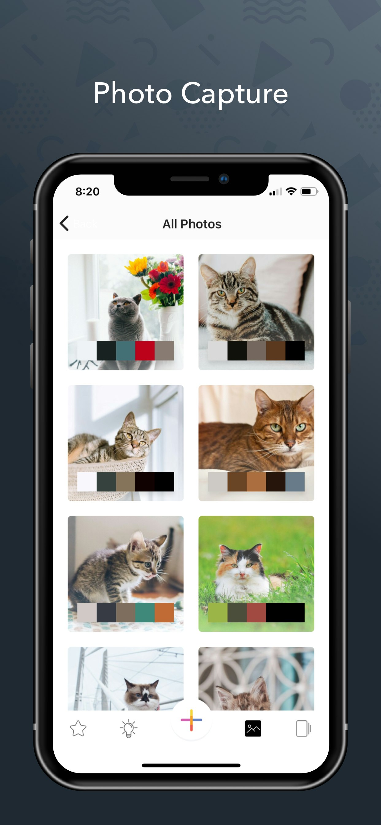 Color Collect gallery image