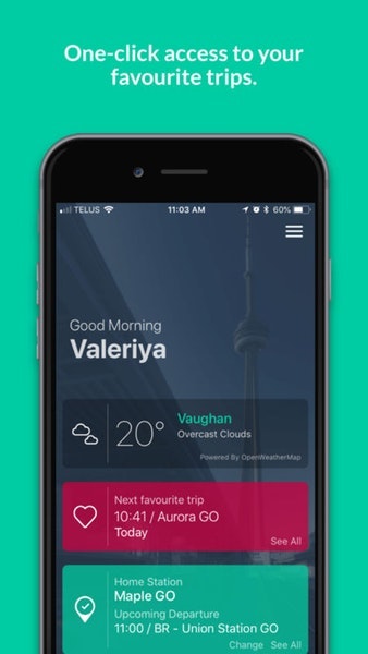 HopOnGo gallery image