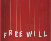 Free Will media 1
