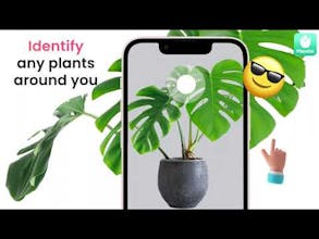 PlantIn gallery image