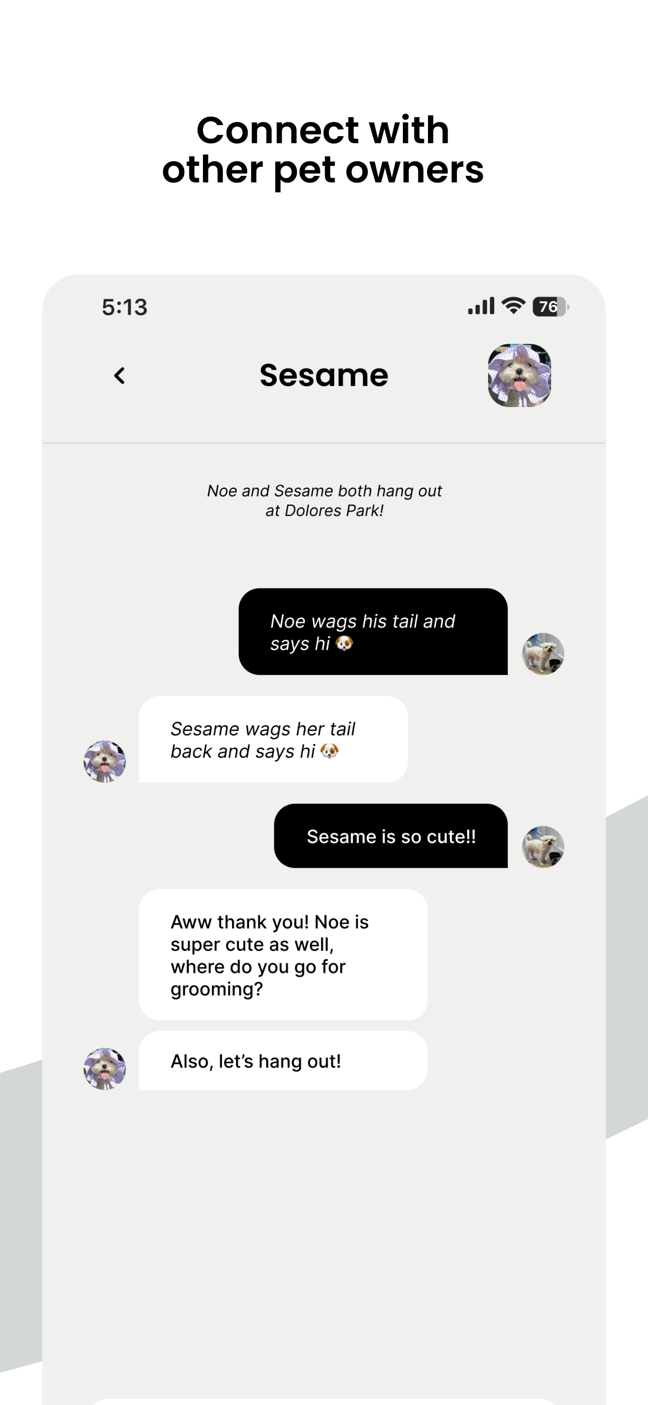 PetPet gallery image