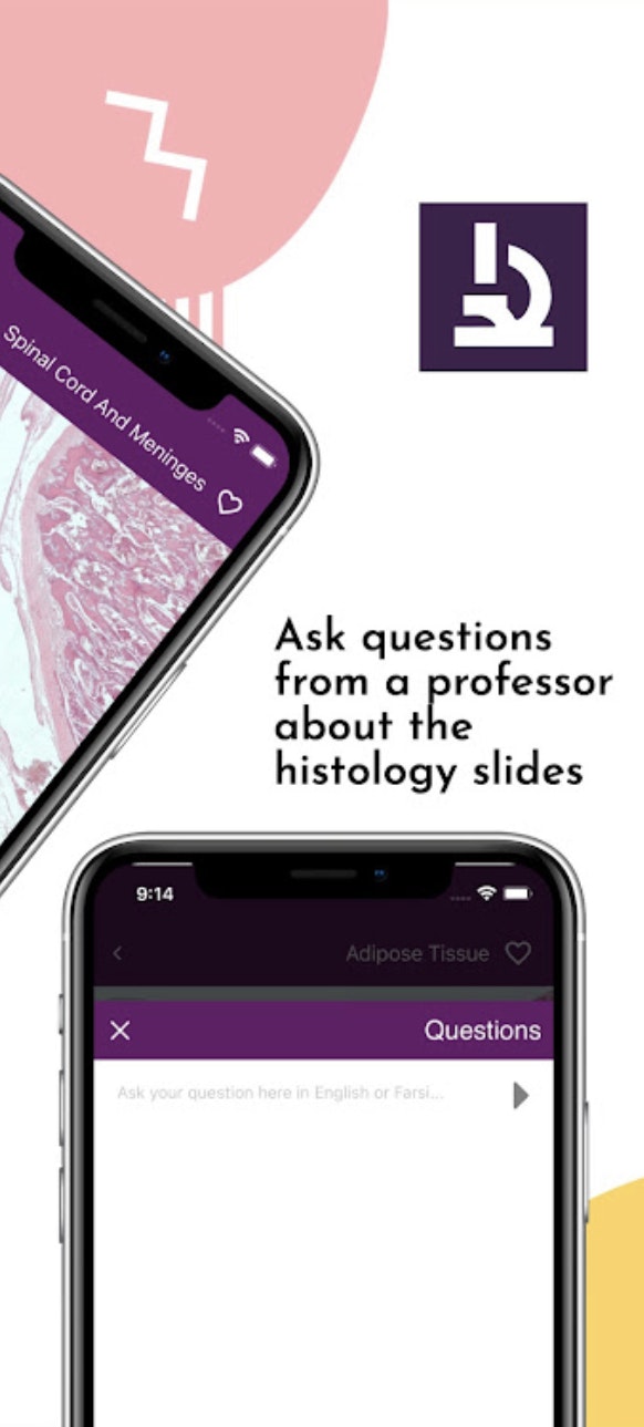 Gioiello media 4