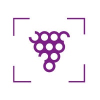 Xterroir