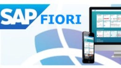 Fiori Application Developer Questions gallery image