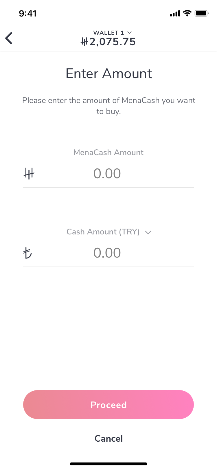 MenaPay gallery image