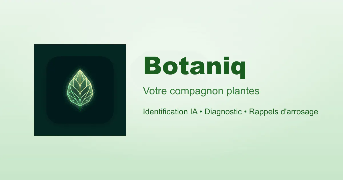 Botaniq gallery image