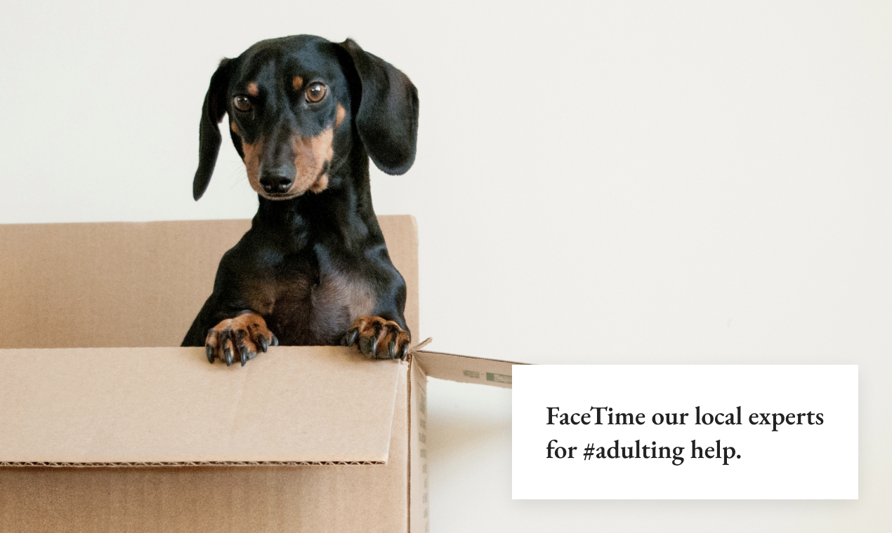 Trolley gallery image