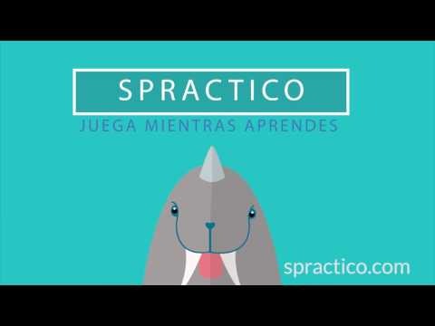 Spractico gallery image