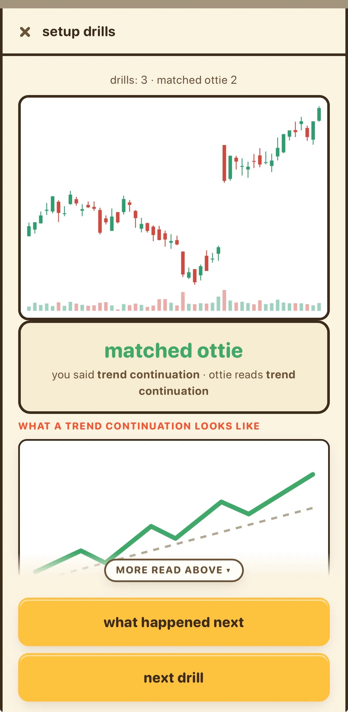 ottiebox gallery image