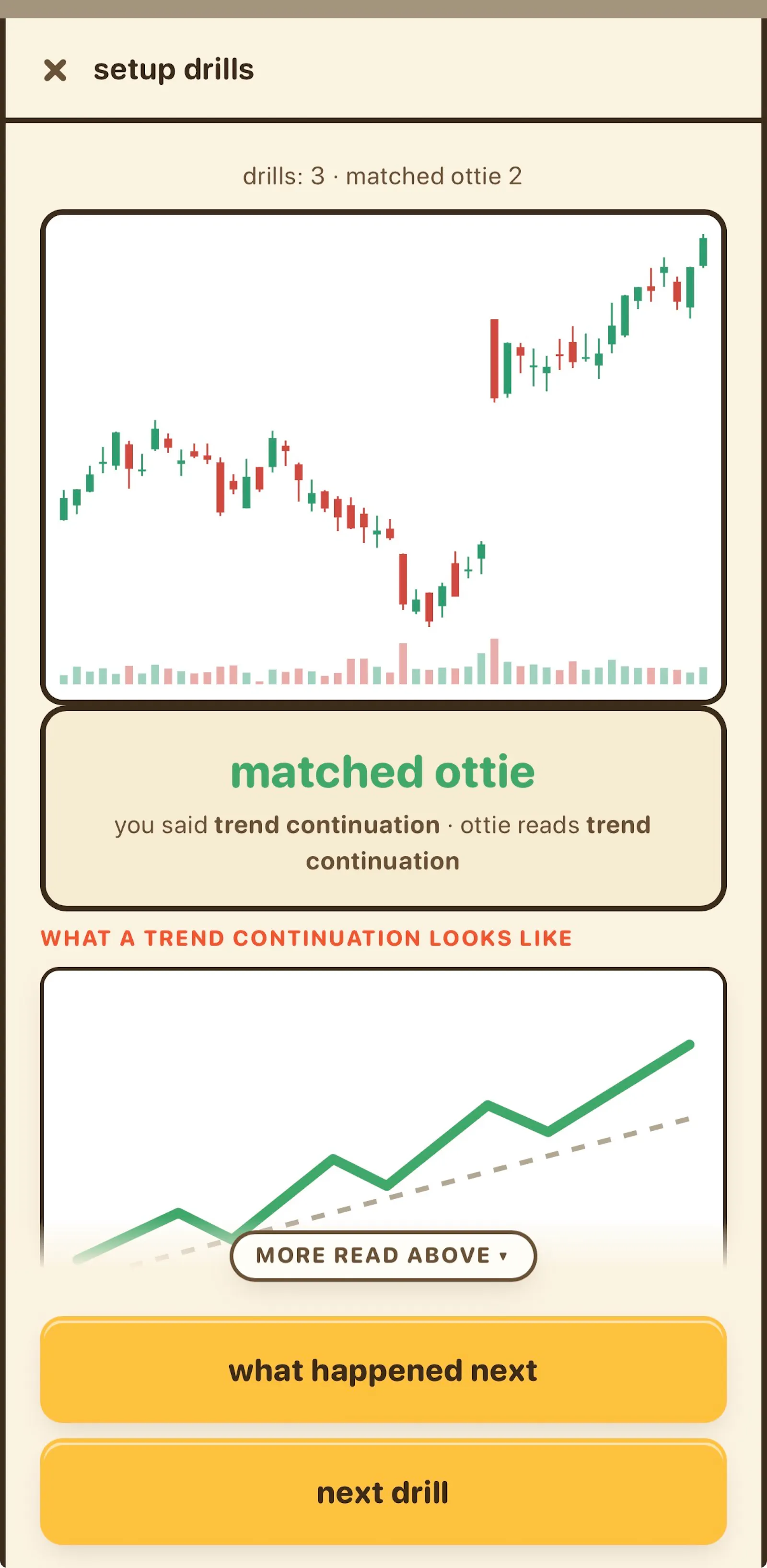 ottiebox screenshot 6