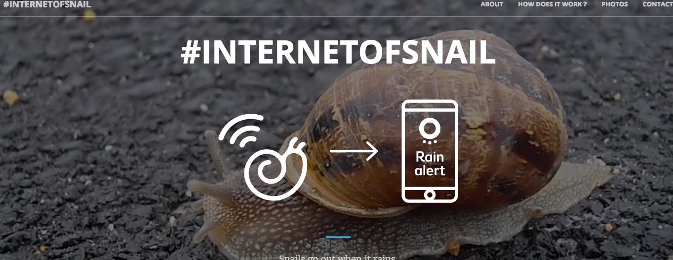 Internet Of Snail media 2