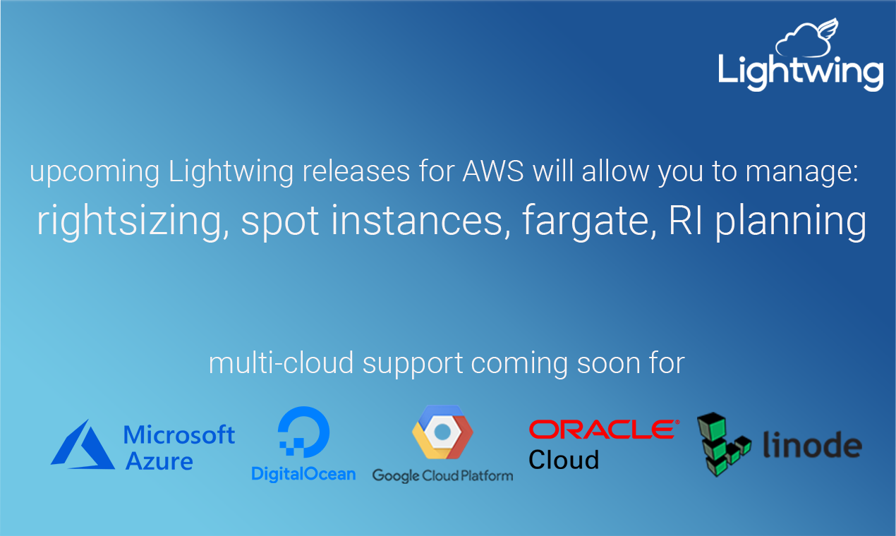 Lightwing - Cloud Cost Optimization gallery image