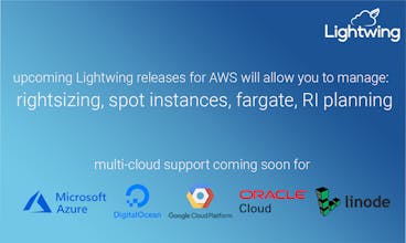 Lightwing - Cloud Cost Optimization gallery image
