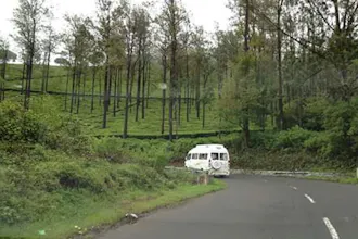 travel and tour gallery image