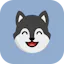 DogNote