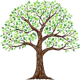 TreeDeck: Your Tree Explorer!