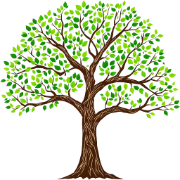 TreeDeck: Your Tree ... logo