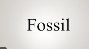 fossel