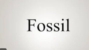 fossel