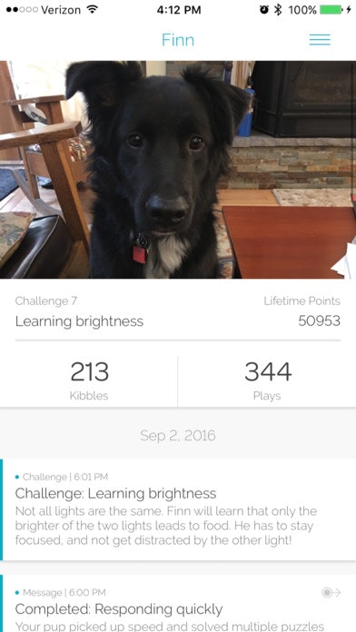 Color Match by CleverPet gallery image