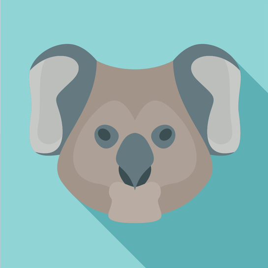 Koalas gallery image