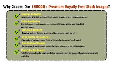 150000 Premium Royalty Free Stock Images gallery image