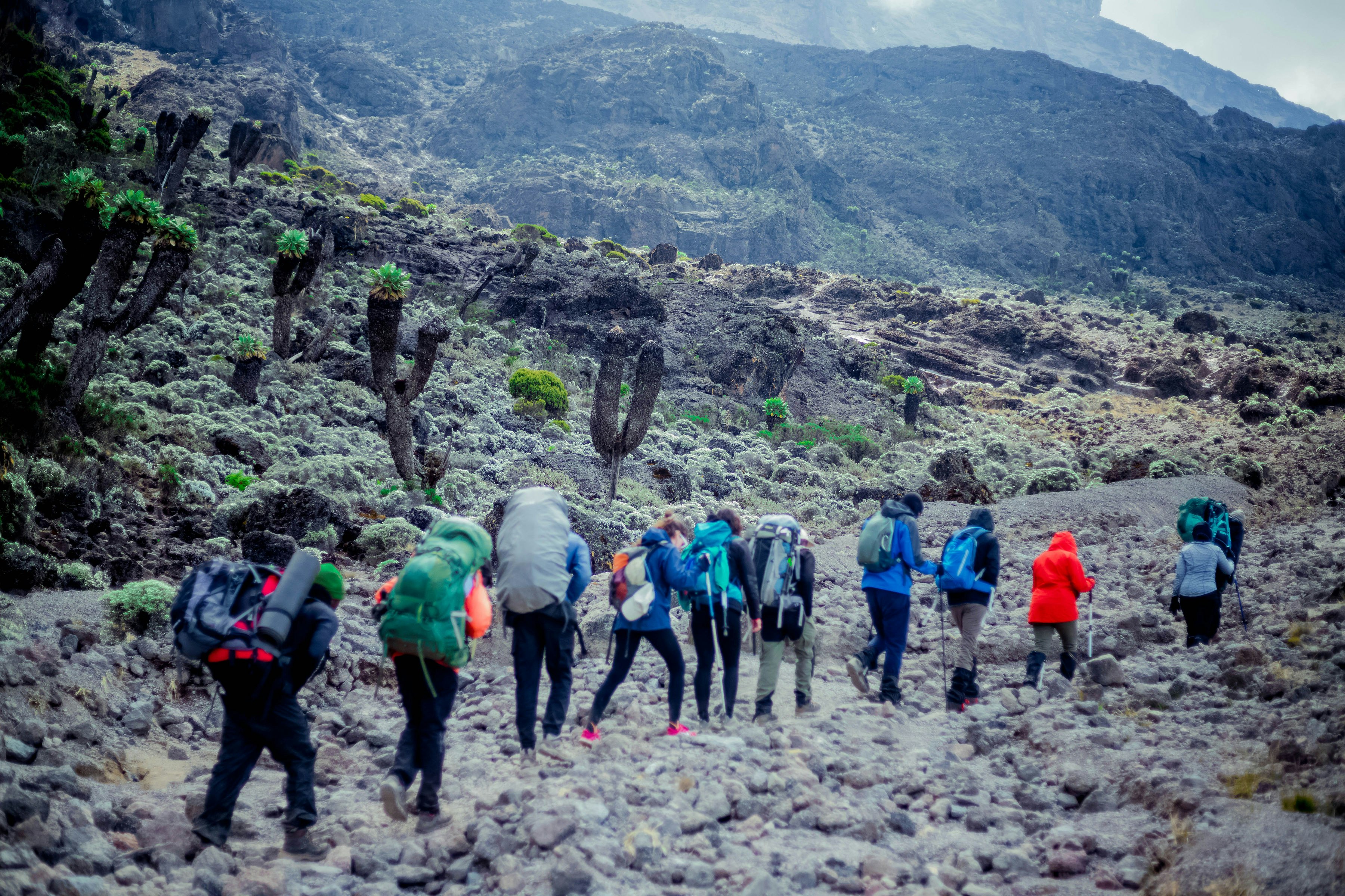 Africantrust Safari media 72