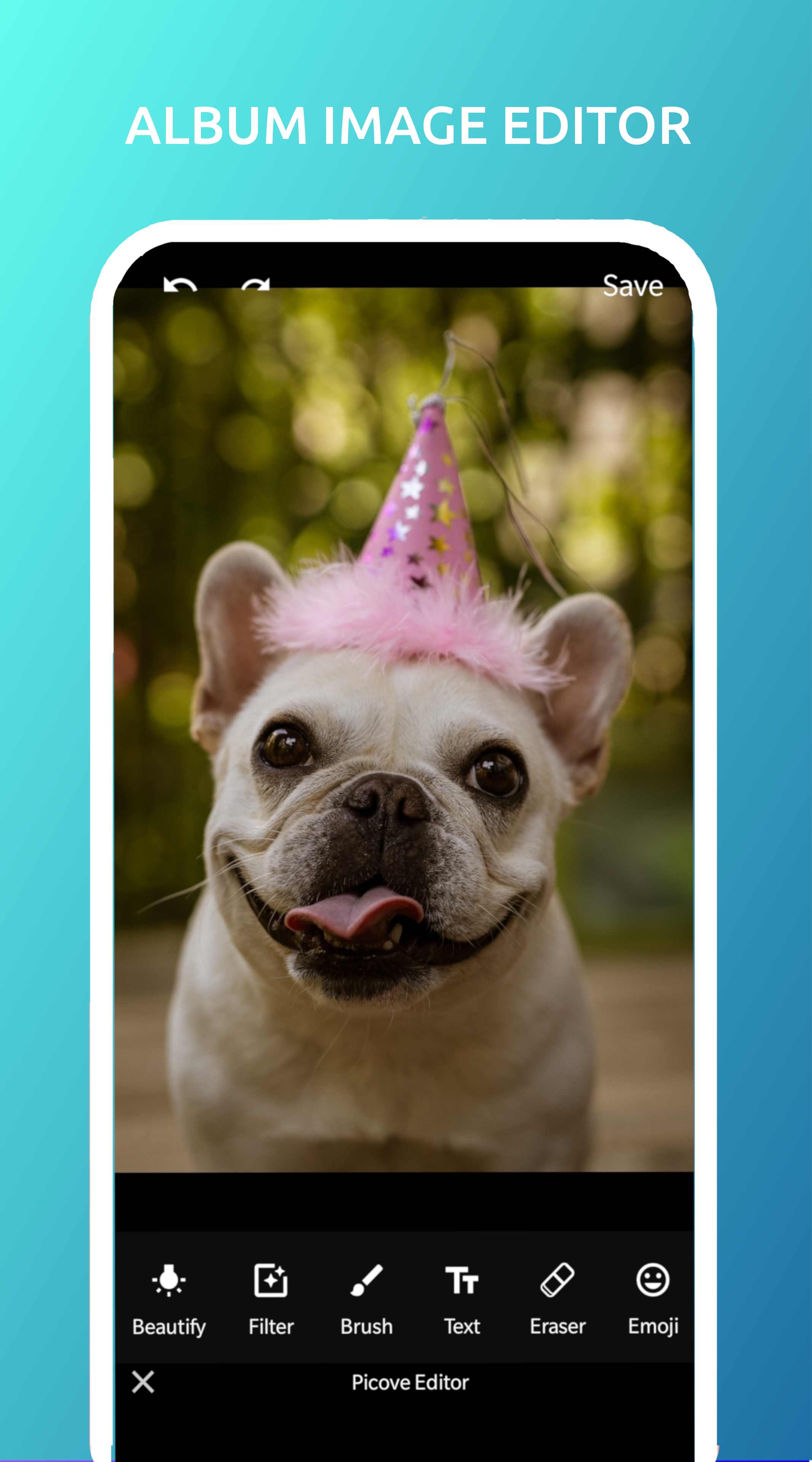 Picove gallery image