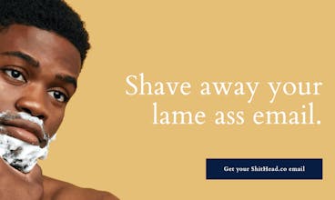 Sh*tHead Email gallery image