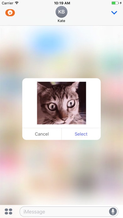 TamTam gallery image