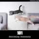 HTTP Status Cats
