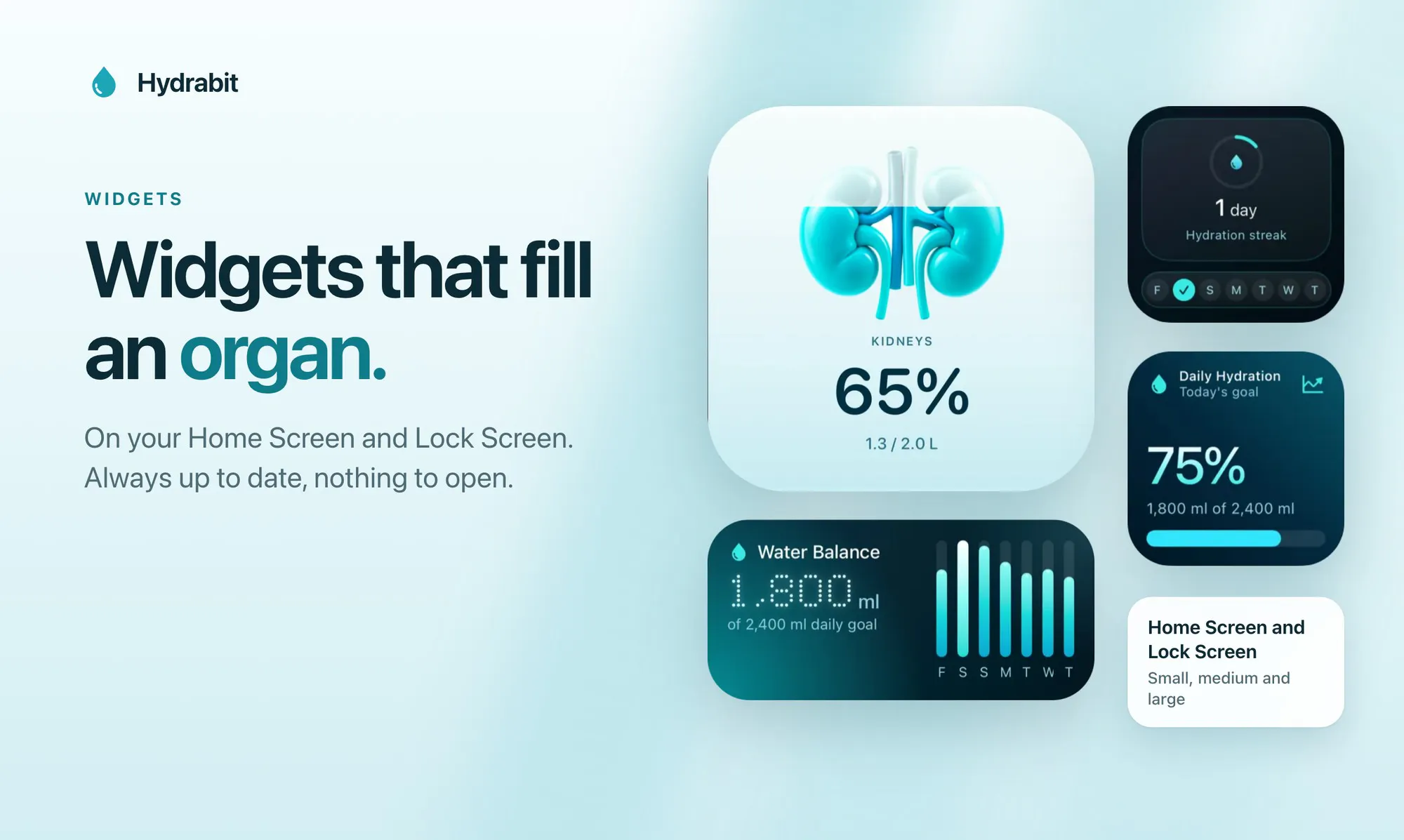 Hydrabit: Drink Water Tracker gallery image