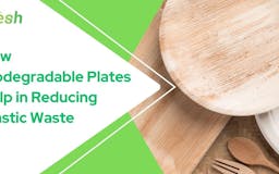 Biodegradable Paper Plates media 2