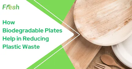 Biodegradable Paper Plates gallery image