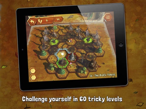 A Day in the Woods gallery image