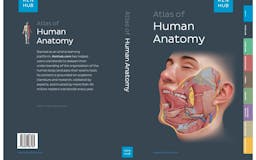 Kenhub Atlas of Human Anatomy media 2