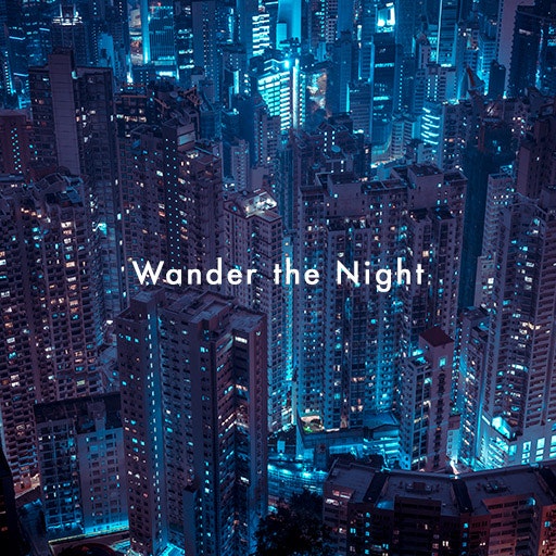 Wander the Night