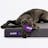 Purple Pet Bed