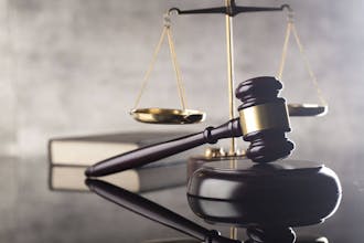 LawTally gallery image