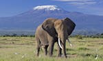 3- Days Amboseli Safari image