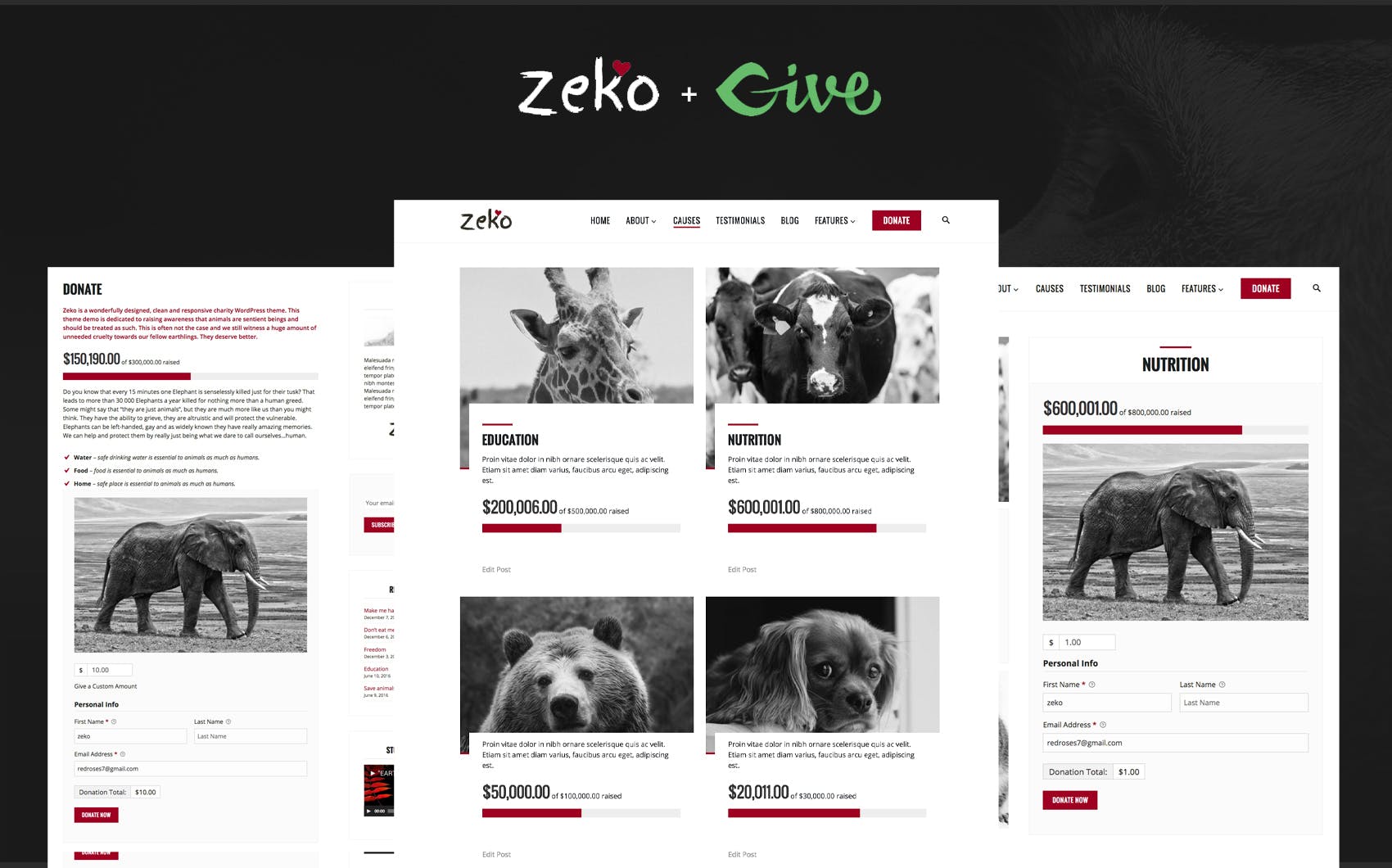 Non-Profit WordPress Theme - Zeko media 1