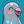 Letterbird
