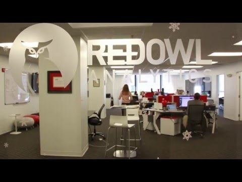 Red Owl Analytics gallery image